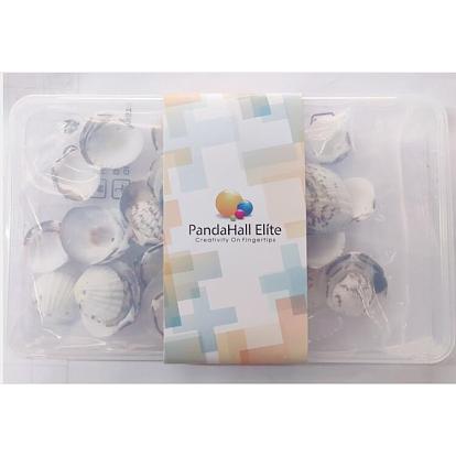 Natural Clam Shell Beads, Dyed