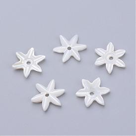 Perles de coquillages naturels d'eau douce, fleur