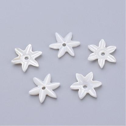 Perles de coquillages naturels d'eau douce, fleur