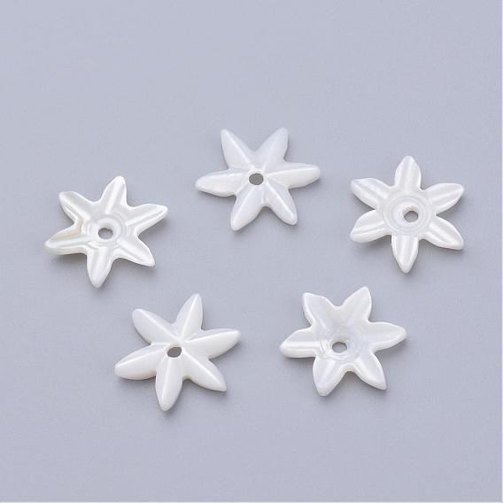 Natural Freshwater Shell Beads, Flower