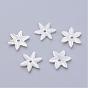Natural Freshwater Shell Beads, Flower