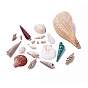 (Defective Closeout Sale), Mixed Style Natural Shell Beads, Undrilled/No Hole, Mixed Shapes