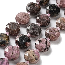 Natural Rhodonite Beads Strands, with Seed Beads, Faceted Hexagonal Cut, Flat Round