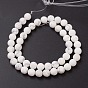Natural Howlite Beads Strands, Frosted, Round