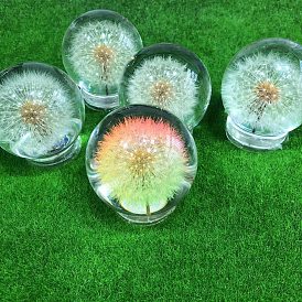 Glass Dandelion Crystal Ball, Plants Specimen Feng Shui Flowers, for Home Decoration Craft