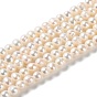 Natural Cultured Freshwater Pearl Beads Strands, Potato, Grade 3A