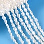 Natural Cultured Freshwater Pearl Beads Strands, Two Sides Polished