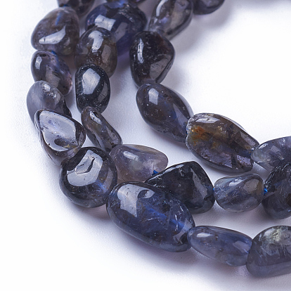 Natural Iolite Beads Strands, Tumbled Stone, Nuggets