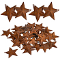 Iron Pendants, Rusting, Star
