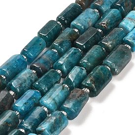 Natural Apatite Beads Strands, with Seed Beads, Faceted Column