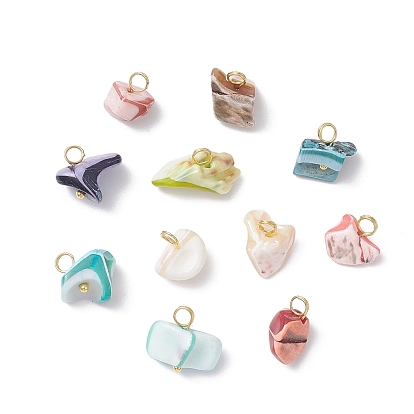 Подвески из окрашенных натуральных ракушек, с медными петлями, разноцветные