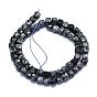 Natural Snowflake Obsidian Beads Strands, Cube, Faceted