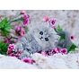 DIY Rectangle Cat Theme Diamond Painting Kits, Including Canvas, Resin Rhinestones, Diamond Sticky Pen, Tray Plate and Glue Clay, Cat with Flower