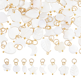 80 шт 8 стили натуральные пресноводные подвески из ракушек, с латунными петлями, разнообразные