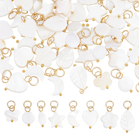 80 шт 8 стили натуральные пресноводные подвески из ракушек, с латунными петлями, разнообразные