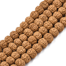 Perles de rudraksha naturelles non teintes, sans plomb, ronde