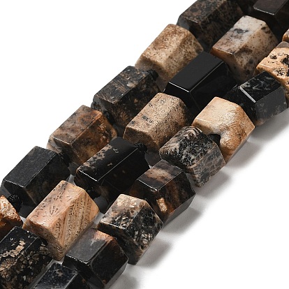 Natural Fossil Coral Beads Strands, Hexagon