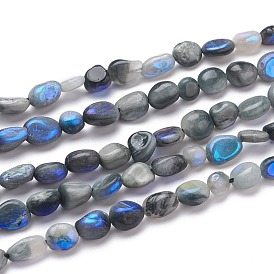 Electroplated Natural Eagle Eye Beads Strands, Rainbow Plated, Tumbled Stone, Nuggets