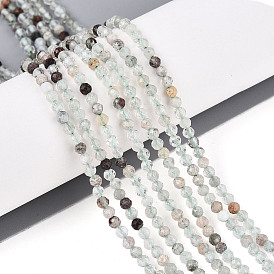 Натуральный зеленый лодолитовый кварц / садовый кварц, круглые, граненые