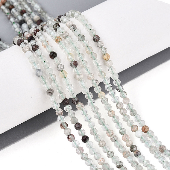 Натуральный зеленый лодолитовый кварц / садовый кварц, круглые, граненые