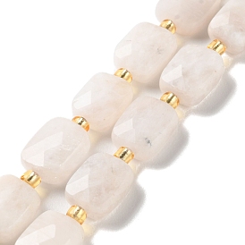 Natural Rainbow Moonstone Beads Strands, Faceted, Rectangle