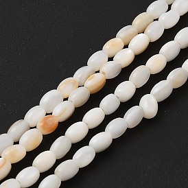 Natural Freshwater Shell Beads Strands, Oval