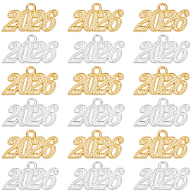 24шт 2 цвета подвески из цинкового сплава, число 2026