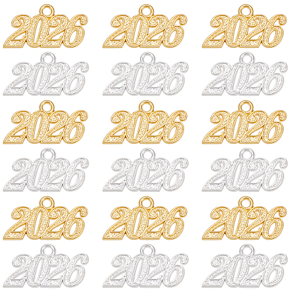 24шт 2 цвета подвески из цинкового сплава, число 2026