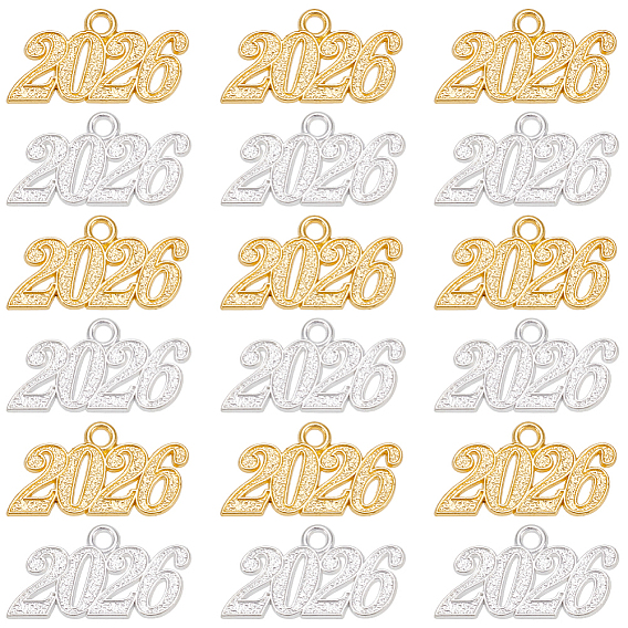 24шт 2 цвета подвески из цинкового сплава, число 2026