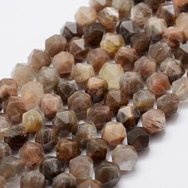 Natural Black Sunstone Beads Strands, Star Cut Round Beads, Faceted