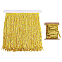 1 Bag Sparkle PET Paillette Beads, Sequins Trim, Ornament Accessories, with 2 Yards Polyester Tinsel Tassel Trimming