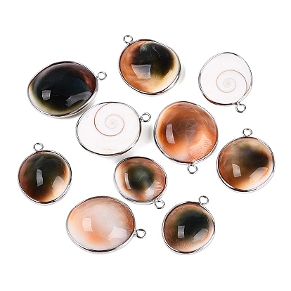 Natürliche seemuschel Pendants, oval Charme, mit Messing-Zubehör