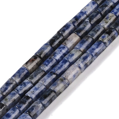 Natural Blue Spot Jasper Beads Strands, Column