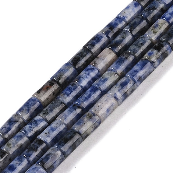 Natural Blue Spot Jasper Beads Strands, Column