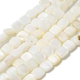 Natural Freshwater Shell Beads Strands, Square