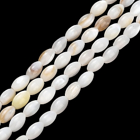 Natural Freshwater Shell Beads Strands, Rice