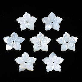 Cuentas de concha natural de blanco, flor