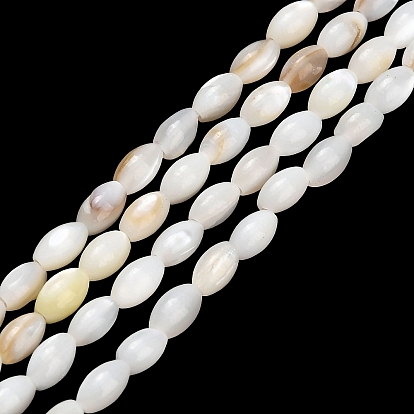 Natural Freshwater Shell Beads Strands, Rice