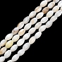 Natural Freshwater Shell Beads Strands, Rice