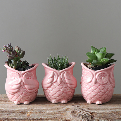 Groceries kka owl succulent flower pot gardening creative green plant ceramic flower pot container