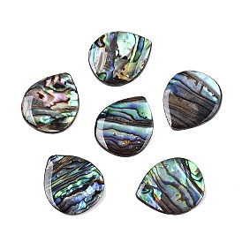 Natural Paua Shell Teardrop Cabochons, with Acrylic Back