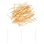 304 Stainless Steel Flat Head Pins, with Bead Container