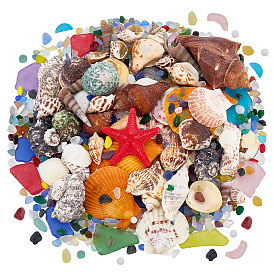 Оформление аквариума из пластиковых ракушек и стекла, разнообразные