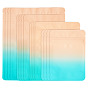 100 шт. 4 стили пакеты с застежкой-молнией для животных, прямоугольные, градиент цвета