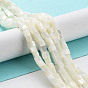 Natural Trochus Shell Beads Strands, Cube