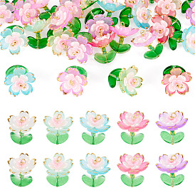 30шт 5 цветные подвески из прозрачного акрила, со стеклянными бисеринами, цветок, золотой металл обвитыми