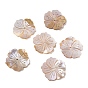 Natural Freshwater Shell Carved Beads, Flower