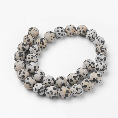 Natural Dalmatian Jasper Bead Strands, Round, Frosted