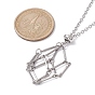 Crystal Holder Cage Necklace, Stainless Steel Pouch Empty Stone Holder for Pendant Necklace Making, with Cable Chains & Lobster Claw Clasp