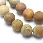 Natural Fossil Coral Beads Strands, Frosted, Round